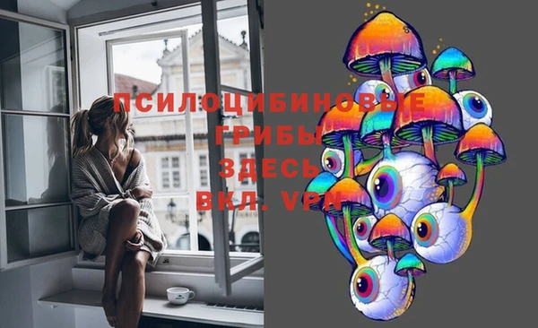 хмурый Алзамай