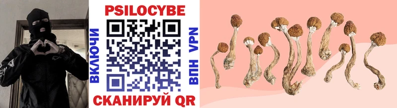 наркошоп  Артёмовск  Галлюциногенные грибы Psilocybe 